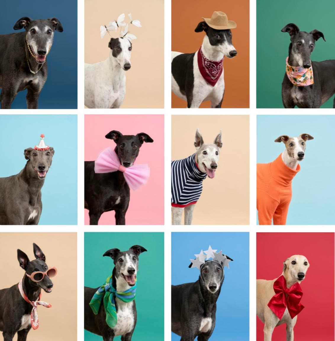 Christmas gift guide