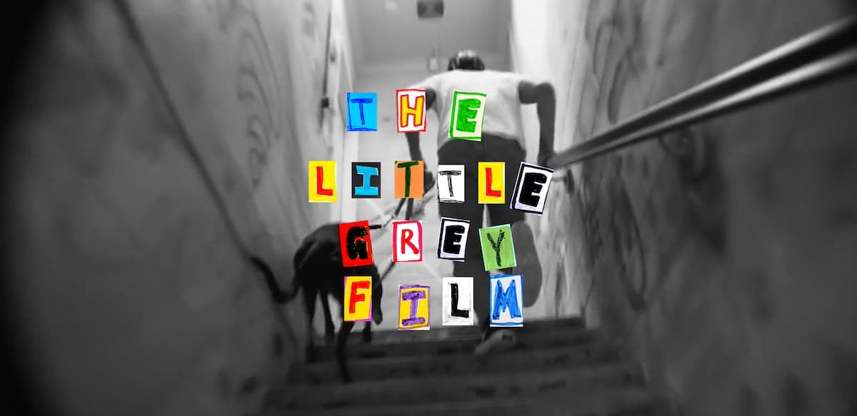 The Little Grey Film x Greyt Greys - Melbourne premiere 