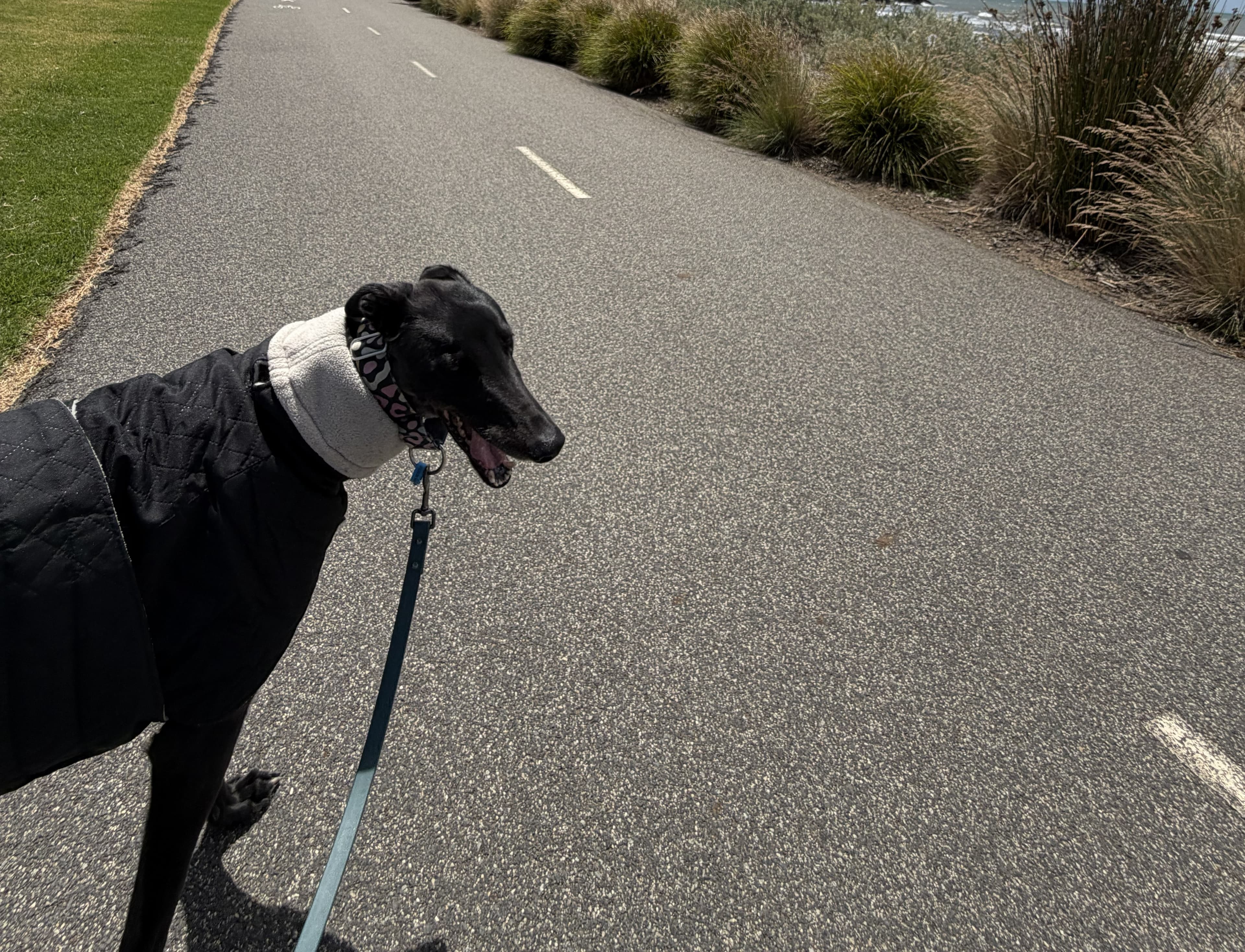 Foster Carer Profile - Jing and Bruce
