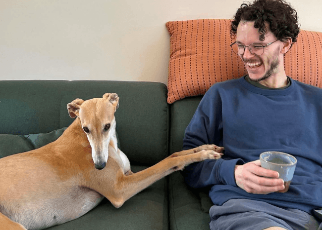 Greyhound Quirks and Tips - Happy snappies or not? How to understand greyhound body language.
