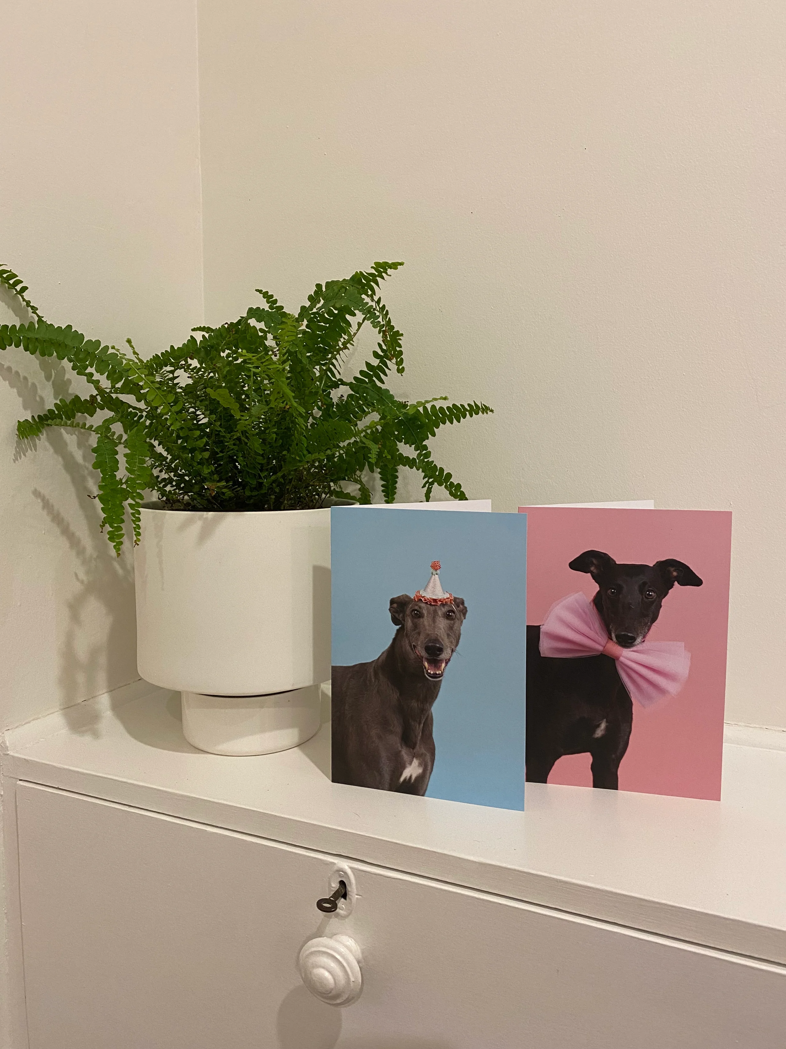 Greyt Greys Greeting Cards